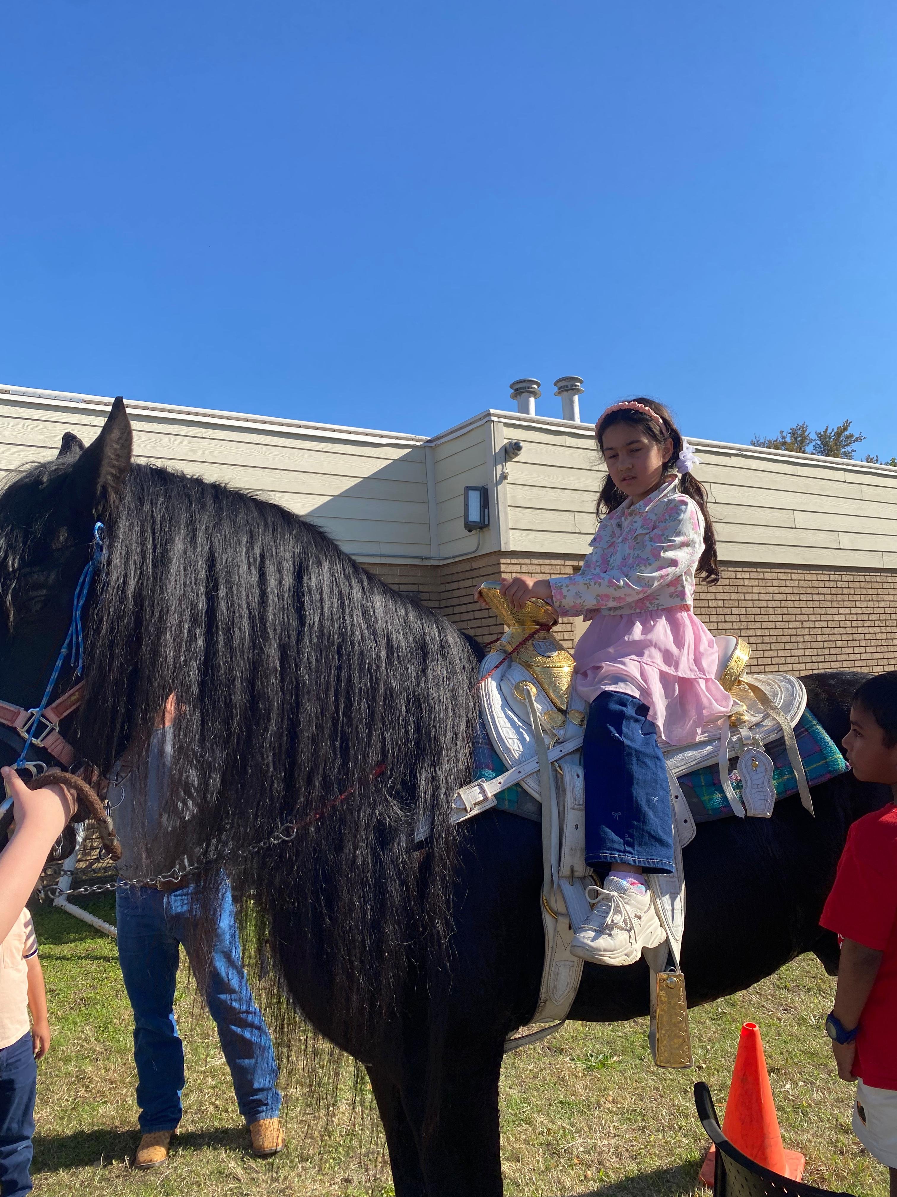 WhatsApp Image 2026-03-24 at 2.38.53 PM